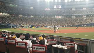 現地フィールド目線 ノイジー先制ホームラン 日本シリーズ第7戦4回表 阪神タイガース日本一決勝3ラン 京セラドーム臨場感永久保存版 [upl. by Graves395]