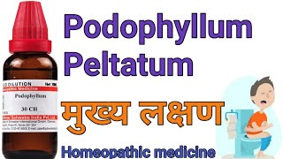 Podophyllum Peltatum 30200 homeopathic medicine symptoms amp uses in hindi [upl. by Bedelia]