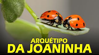 🐞Tudo Sobre o ARQUÉTIPO DA JOANINHA  Nazareth Nascimento [upl. by Kassity]