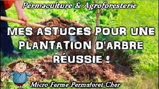 🌱 EN PERMACULTURE PLANTER UN ARBRE FRUITIER AU VERGER OU JARDIN POTAGER ASTUCES 100 RÉUSSITE [upl. by Florian]