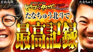 最高記録⁉ 日直島田ampたなちゅうドラゴン＆タイガー 最強の相棒 〜にゃんにゃんパラダイス編〜【第3話22】 simadaobasan pekarutv [upl. by Kip]