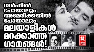 നാടുവിട്ട് ദൂരെപോയാലും ഹൃദയത്തോട് ചേർത്തുവെച്ച പഴയ സിനിമാഗാനങ്ങൾ  Old Malayalam Film Songs [upl. by Brit]