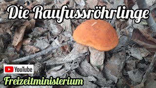 Die RaufußröhrlingeMerkmale zur sicheren Bestimmung der Pilze [upl. by Alden541]