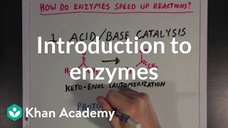 Introduction to enzymes and catalysis  Chemical Processes  MCAT  Khan Academy [upl. by Iorgos]