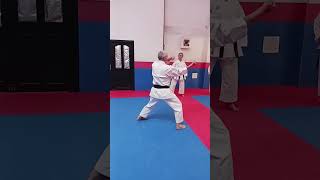 Sensei Luis MariaI Sanz  Highlights I [upl. by Gawlas]