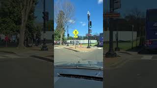 Cherry Blossoms in Washington DC on Independence Ave SW [upl. by Tisha]