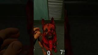 Bloody As All Can Be 🐕‍🦺 Arizona Sunshine PSVR2 shorts [upl. by Rosa95]