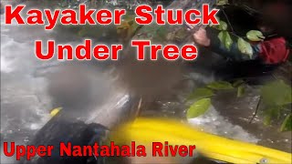 Kayaker stuck In Tree Strainer [upl. by Monney808]