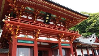 鶴岡八幡宮 鎌倉 神奈川  Tsurugaoka Hachimangu Shrine Kamakura Kanagawa  쓰루 오카 하치만 구 가마쿠라 가나가와 [upl. by Elleda485]