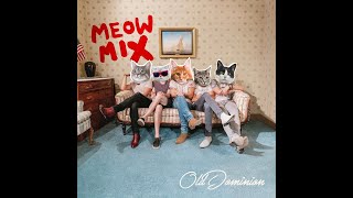 One Man Band Meow Mix [upl. by Harwilll]