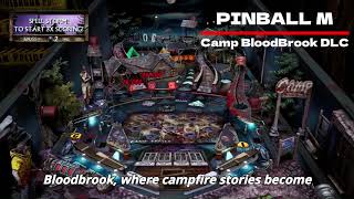 Pinball M Camp BloodBrook DLC Review [upl. by Savick905]