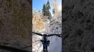 Mountain Biking through fresh snow in Tahoelaketahoe mountainbiking mountains [upl. by Llerref929]