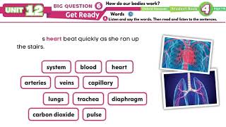 Oxford Discover 4 Unit 12 Vocabulary [upl. by Aneba]