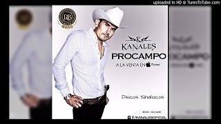 Benito  Kanales Corridos Nuevos 2015 [upl. by Huai741]