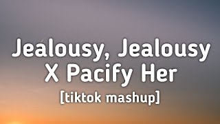 Jealousy Jealousy X Pacify Her tiktok mashup Lyrics [upl. by Coppola]