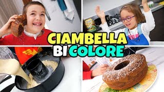 FACCIAMO IL CIAMBELLONE BICOLORE sono Ciambelle o Cagnolini [upl. by Eilhsa]