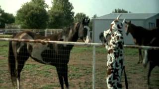 Seamonkey  Moo Moo Cow Black Eyed Peas parody [upl. by Daahsar]