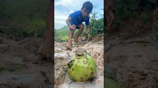 Survival Skills SIMPLE and USEFUL with winter melon bushcraft camping outdoors [upl. by Ayimat]