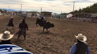 Tohono O’odham Nation Bull riding 2019 [upl. by Di885]