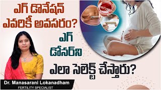 ఎగ్ డొనేషన్ అంటే ఏమిటి  Who is Eligible for Egg Donation  Donor Egg IVF Success Rate Telugu [upl. by Arturo23]