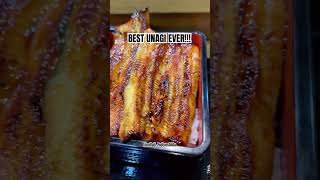 The Best Unagi Don in my life  must visit [upl. by Goggin]