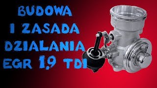 PORADA ODC 19  BUDOWA I ZASADA DZIAŁANIA EGR W 19 TDI [upl. by Flynn]