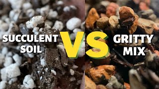 Best Soil for Succulents amp Cacti  Bonsai Jack Gritty Mix or Miracle Gro Succulent Soil [upl. by Acnoib129]