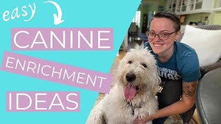 Enrichment for Dogs Easy Dog Enrichment Ideas  THE KIND CANINE [upl. by Adias]