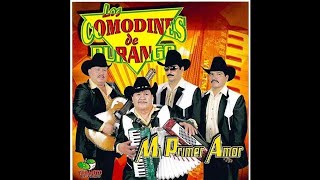 Los Comodines de Durango [upl. by Nivag100]