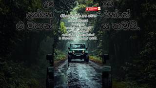 💙💙 SUBSCRIBE 💚💚 කරන්නකො ඉතින් අනේ❤️❤️❤️ nisadas sinhala love adara tranding feeling wadan [upl. by Adama]