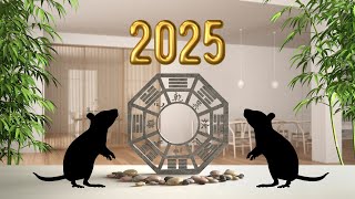 Feng Shui 2025 Rat guide tips Secrets [upl. by Ipoillak852]