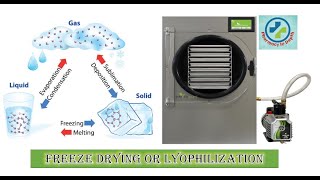 Freeze drying or Lyophilization in depth [upl. by Trotta873]