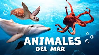 Los animales acuáticos para niños con vídeos  Animales del mar  Vocabulario para niños [upl. by Onivag]