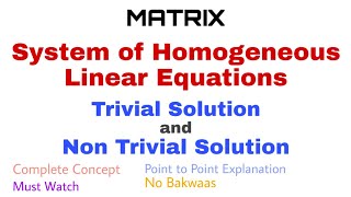 25 System of Homogeneous Linear Equations  Trivial and Non Trivial Solution  Complete Concept [upl. by Yort]