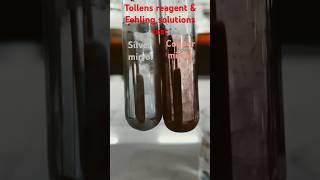 Tollens reagent and Fehling solution test for Aldehyde Functional group analysis class12chemistry [upl. by English948]