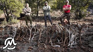 FIRST ELK SHEDS OF 2024  SHEDCRUSH EP1 [upl. by Akenn]