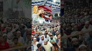 মুফতি উবায়দুল্লাহ বিন সাঈদ shortvideo short shortsfeed waz wazbangla [upl. by Leasim136]