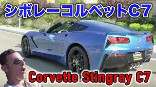 まさかの・・・！衝撃の出来事！爆音シボレー コルベット C7 スティングレイ 試乗インプレッション 2014 Corvette Stingray C7 TestDrive [upl. by Judith]