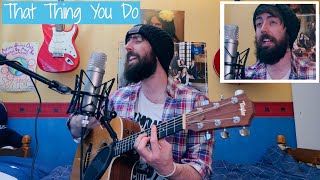 The Wonders  That Thing You Do  Cover [upl. by Anoved615]