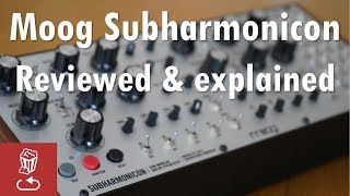 Moog Subharmonicon Reviewed and Explained [upl. by Remle]