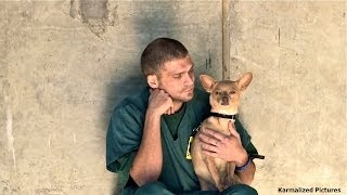 Jail Dogs Winter Webisode 2013 [upl. by Cristie]