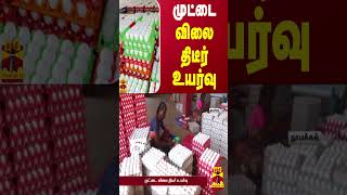 முட்டை விலை திடீர் உயர்வு  Egg Price Hike  Thanthi TV [upl. by Karlie]