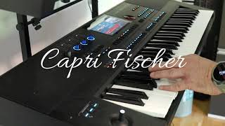 Capri Fischer  Played On The Thomann AKX 1100  Medeli AKX 10 Keyboard [upl. by Neddra]