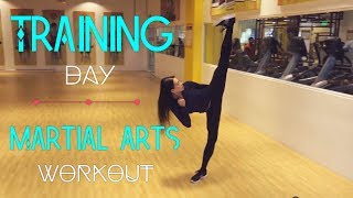 TRAINING DAY MARTIAL ARTS WORKOUT [upl. by Annmarie]