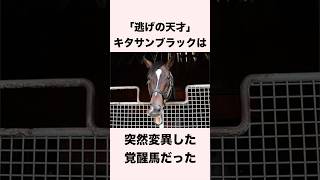 【 競馬 】キタサンブラックの雑学 【 競馬の雑学 】【 ウマ娘 】 競馬 雑学 キタサンブラック ウマ娘 shorts [upl. by Desmund]