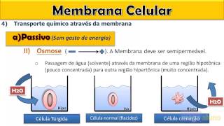 Aula sobre Membrana plasmática Osmose Transporte ativo e passivo [upl. by Aenaj971]