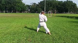 Taikyuko Nidan  Shotokan Kata with Slow Demo  highlights [upl. by Market]