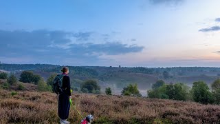 Hiking in Rheden  Gelderland  Netherlands [upl. by Cis]