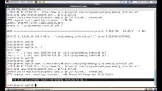 WGET Command in Linux [upl. by Glory]