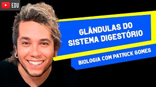 GLÂNDULAS ANEXAS DO SISTEMA DIGESTÓRIO │Prof Patrick Gomes [upl. by Faythe]